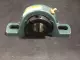 NEW Dodge P2B-DLB-100 Pillow Block Bearing 2-Bolt Base 1