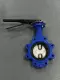 Oscaf 6212-01-040 Butterfly Valve 4