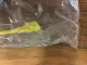 NEW Efector W80530 Brad Harrison Cordset 5M 