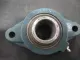 NEW DODGE F2BSC30M FLANGE BEARING 